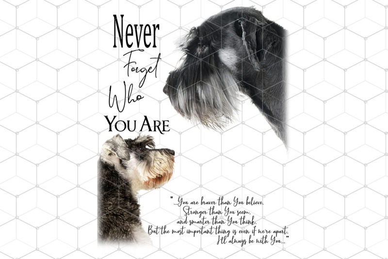nerver-forget-who-you-are