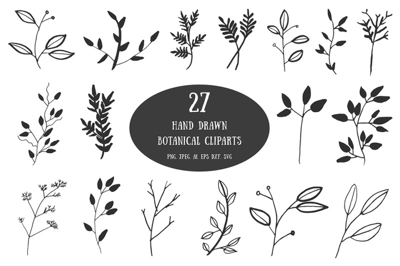 20-handdrawn-botanical-cliparts