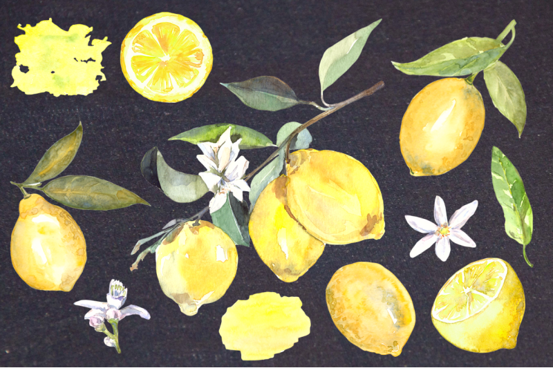 watercolor-lemons-clip-art-set