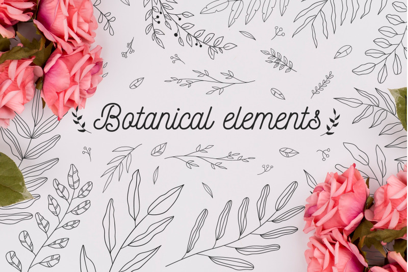 110-hand-drawn-botanical-elements