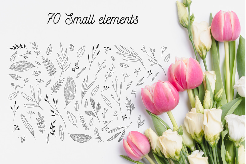 110-hand-drawn-botanical-elements