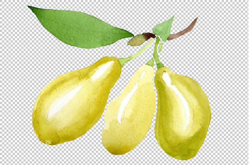 yellow-dogwood-watercolor-png