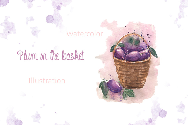 watercolor-plum-in-the-basket-illustration