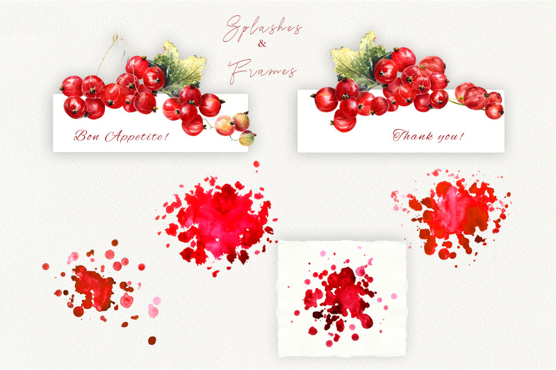 red-currant-watercolor-illustrations