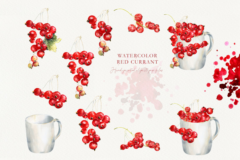 red-currant-watercolor-illustrations