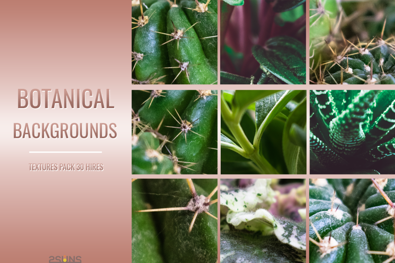 30-botanical-floral-digital-backdrop-fern-overlay-flower-textures