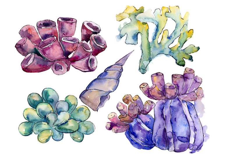 sea-flowers-corals-magic-watercolor-png
