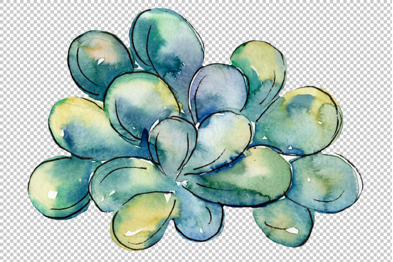 sea-flowers-corals-magic-watercolor-png