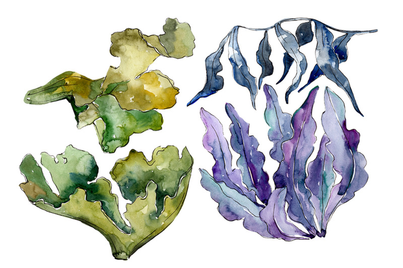 coral-sarcophiton-watercolor-png