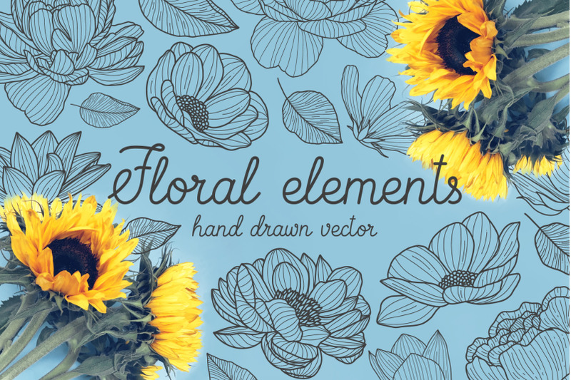 hand-drawn-floral-elements