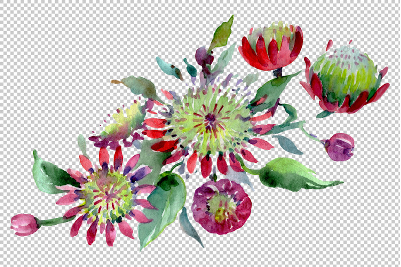 bouquet-of-flowers-moulin-rouge-watercolor-png