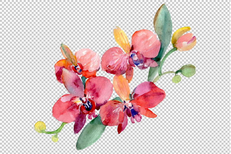 bouquet-of-flowers-queen-of-love-watercolor-png