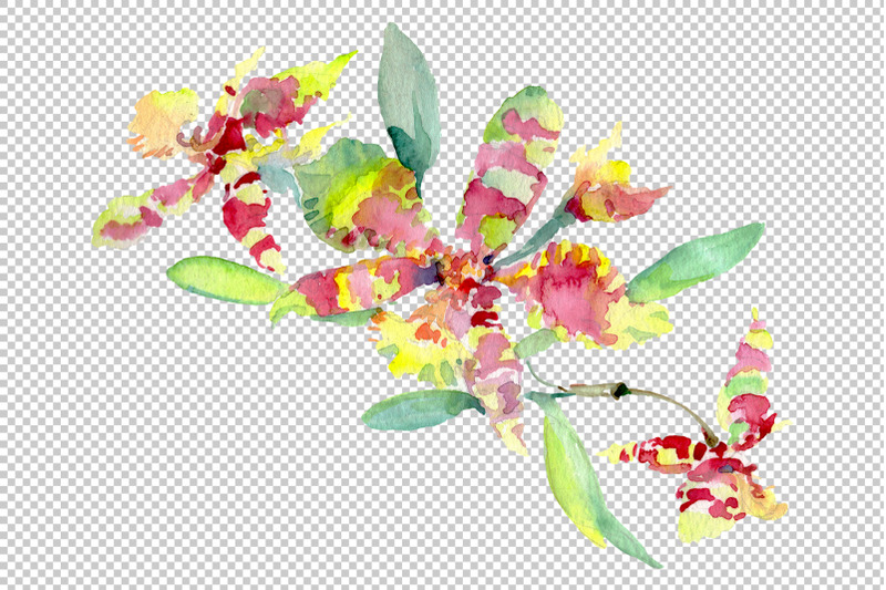 bouquet-of-flowers-queen-of-love-watercolor-png