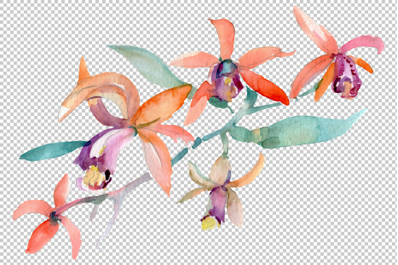 barnaby-flowers-bouquet-watercolor-png