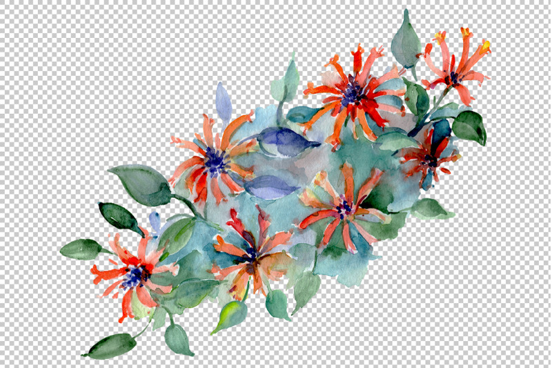 barnaby-flowers-bouquet-watercolor-png