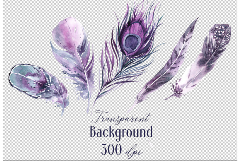 nightfall-feathers-watercolor-clipart