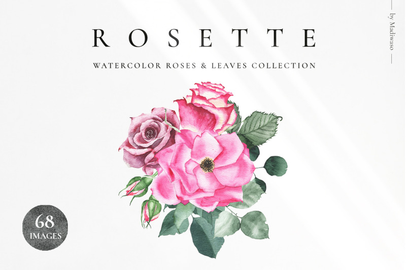 rosette-watercolor-roses-leaf-set