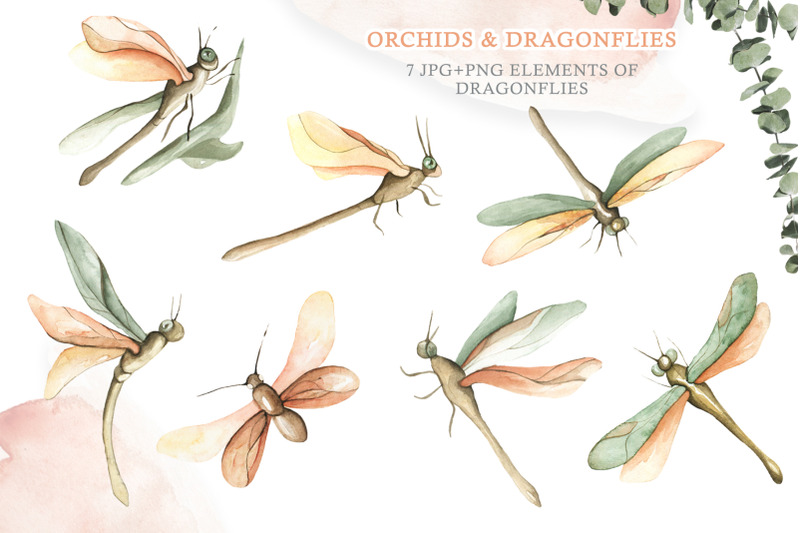 watercolor-set-orchids-and-dragonflies