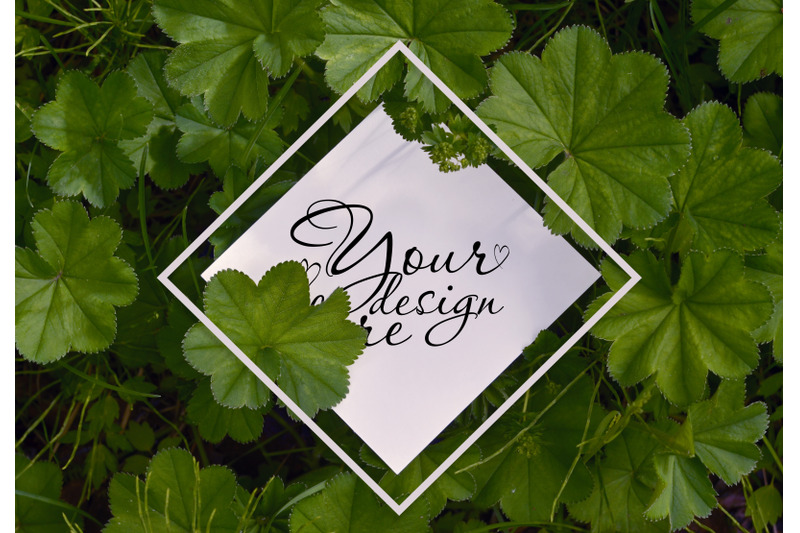 summer-square-card-mockup-on-green-leaves