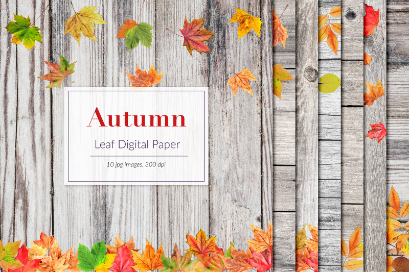 autumn-digital-paper