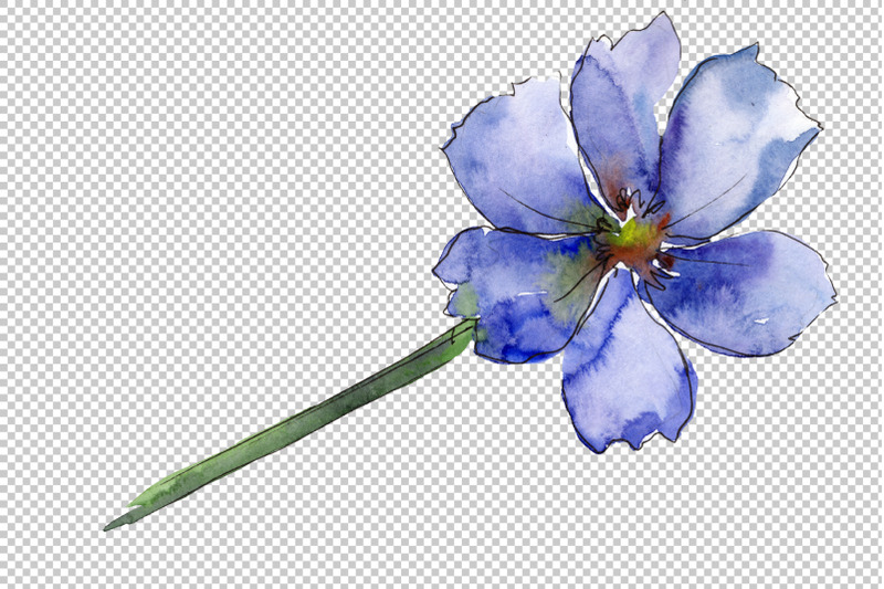 cosmos-flower-blue-watercolor-png