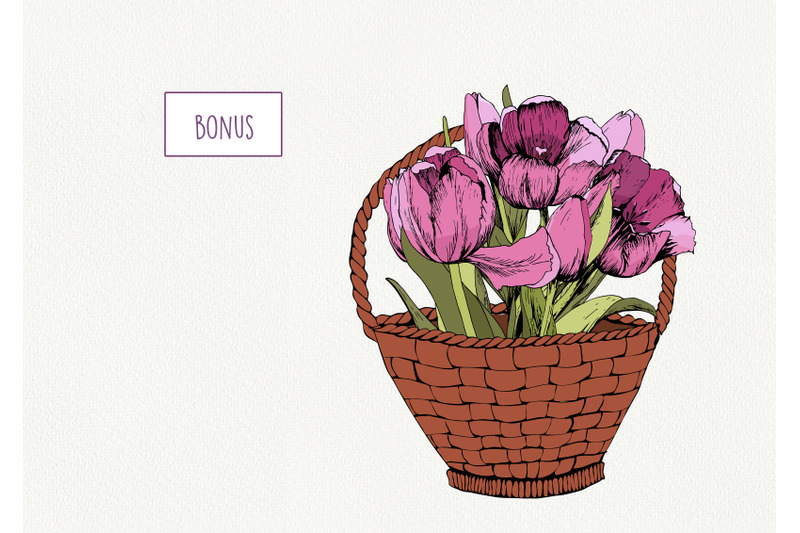 pink-tulips-spring-mood