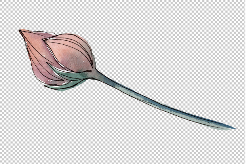 lotus-flower-watercolor-png