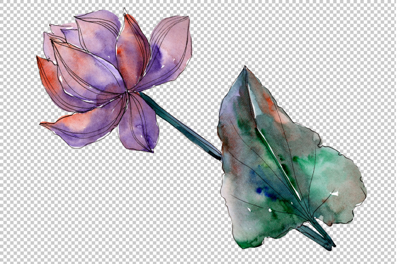 lotus-flower-watercolor-png