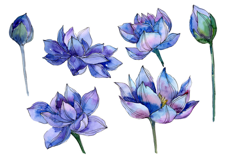 blue-watercolor-lotus-flower-png