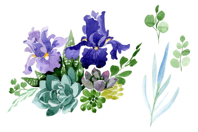 bouquet-of-flowers-with-purple-irises-watercolor-png