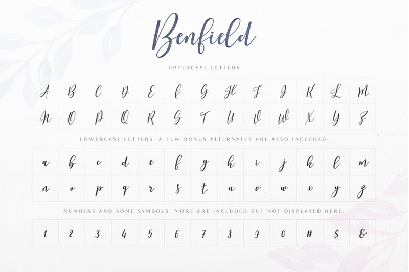 benfield-script-font