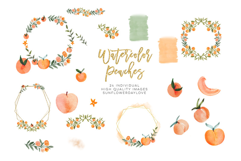 watercolor-peach-clip-art-peach-leaves-clipart