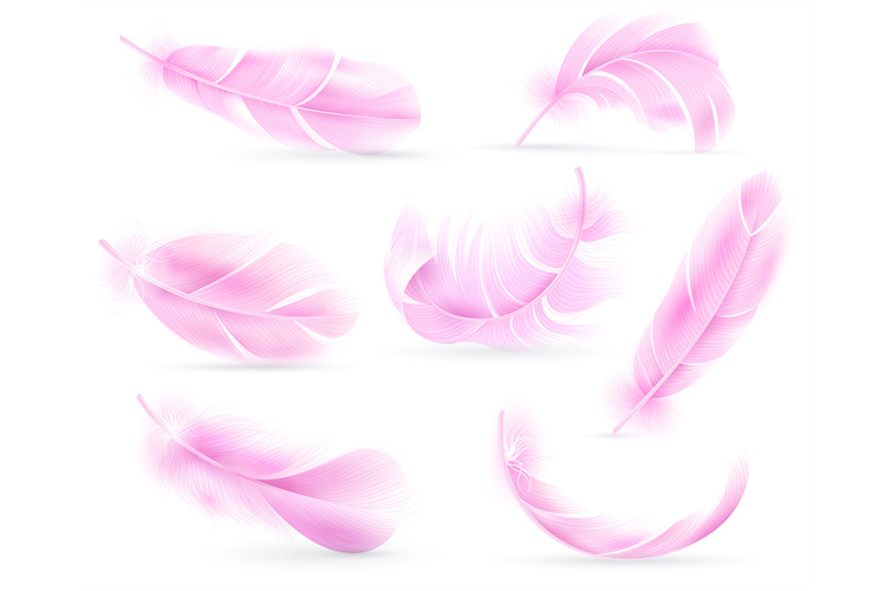 pink-feathers-bird-or-angel-feather-birds-plumage-flying-fluff-fal