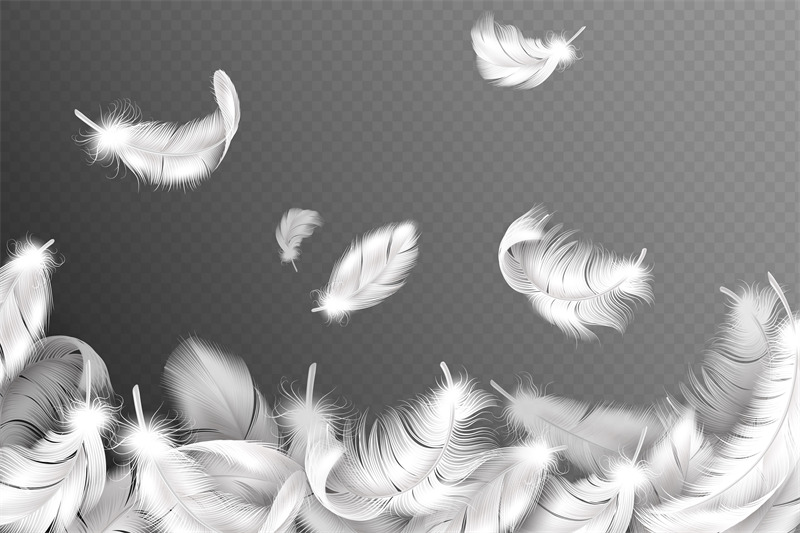 white-feathers-background-falling-flying-fluffy-swan-dove-or-angel-w