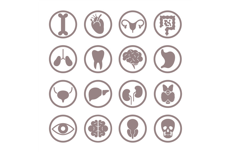 human-organ-icons-lungs-and-kidneys-heart-and-brain-stomach-and-liv