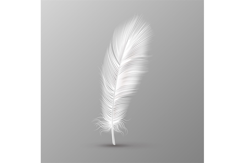 realistic-feather-single-white-soft-bird-wings-smooth-fluff-on-transp