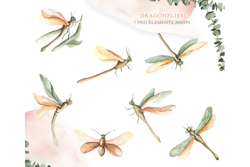 watercolor-set-eucalyptus-and-dragonflies