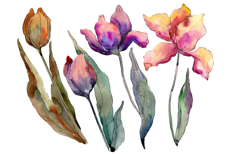 bouquet-of-flowers-from-tulips-perfection-watercolor-png