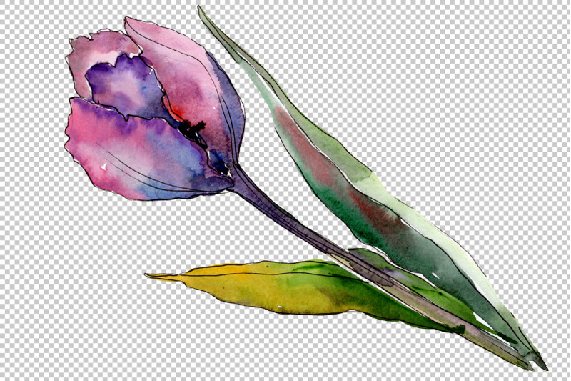 bouquet-of-flowers-from-tulips-romance-watercolor-png