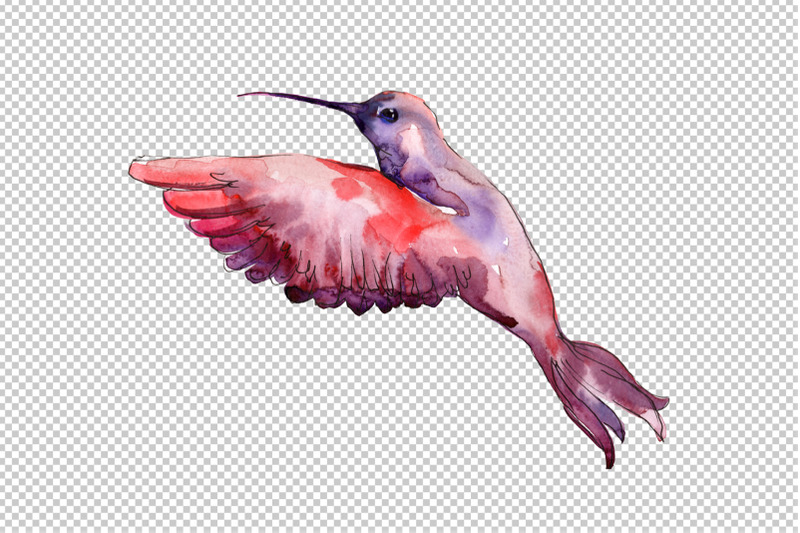 hummingbird-bird-family-watercolor-png