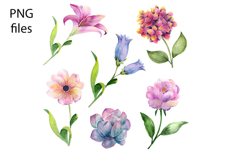 watercolor-cactus-and-flowers-clipart