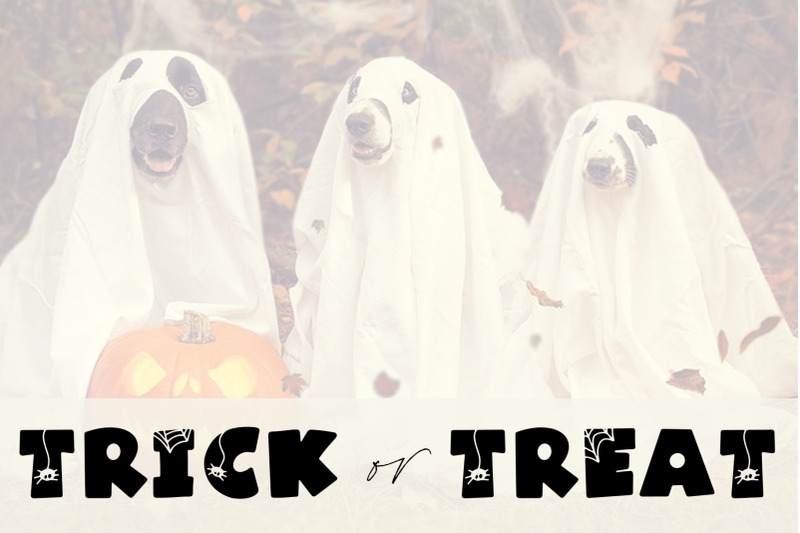spooky-a-quirky-halloween-font