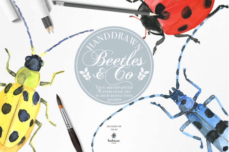 handdrawn-watercolor-beetles-amp-co
