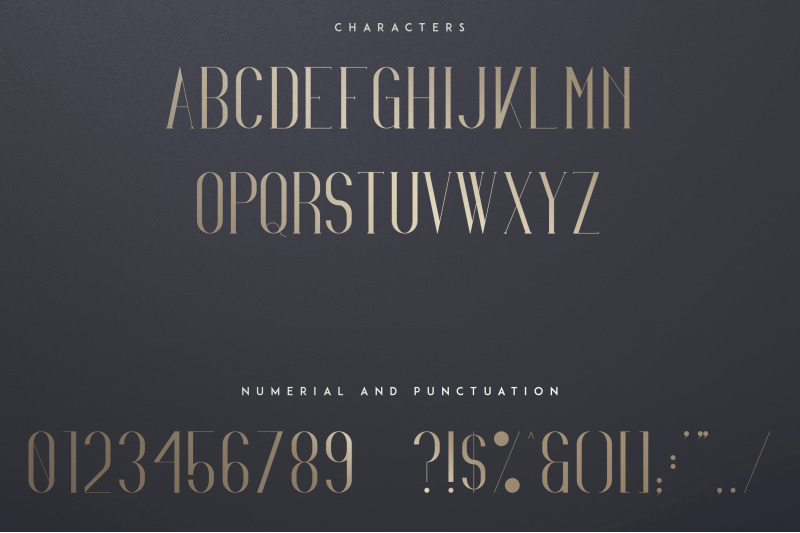 Irina Luxe Serif Font By Vpcreativeshop Thehungryjpeg Com