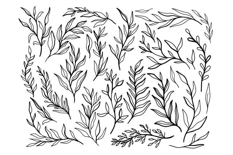 sketch-plant