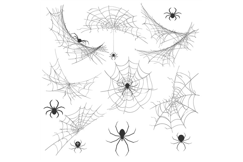 spider-with-cobweb