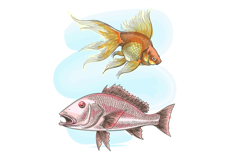 watercolor-sketch-fish-set