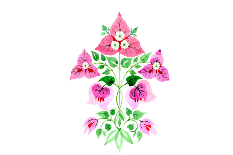 bougainvillea-ornament-pink-watercolor-png