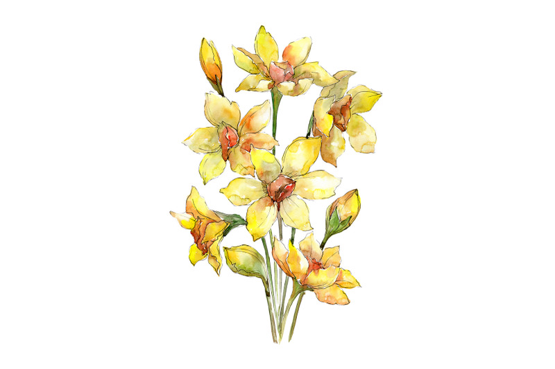 bouquet-of-narcissus-yellow-flower-watercolor-png