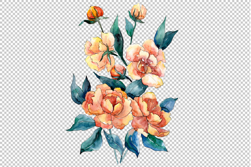 bouquet-of-flowers-dimeter-orange-watercolor-png